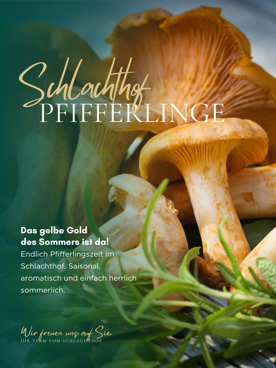 Pfifferlinge
